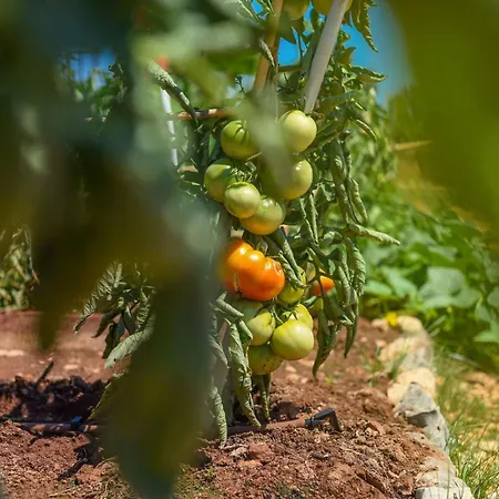 Mobilheim Direkt Am By Interhome Apartman *