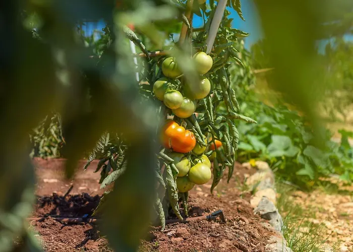 Mobilheim Direkt Am By Interhome 아파트 *